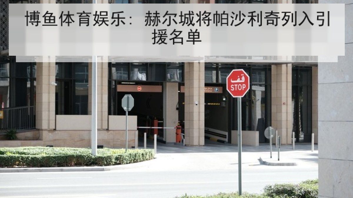 博鱼体育娱乐: 赫尔城将帕沙利奇列入引援名单